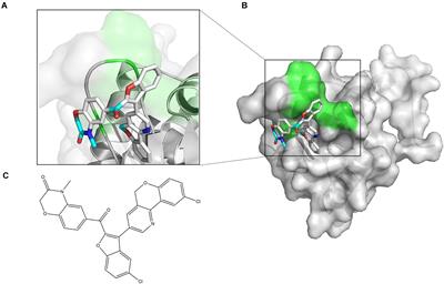 Virtual Screening for Novel SarA Inhibitors to Prevent Biofilm Formation of Staphylococcus aureus in <mark class="highlighted">Prosthetic Joint Infections</mark>